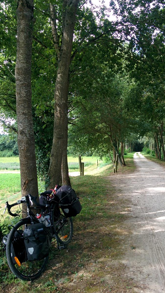 dirt bike path break