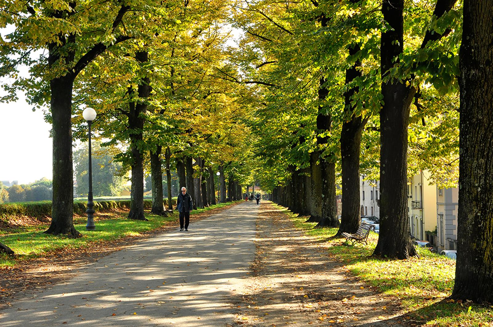 Walls Lucca