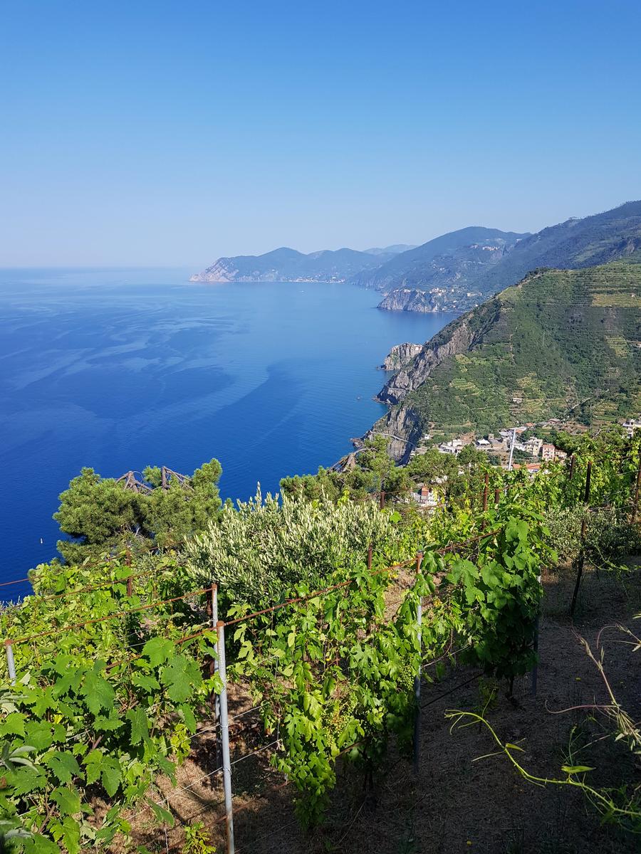 Riomaggiore Cinque Terre