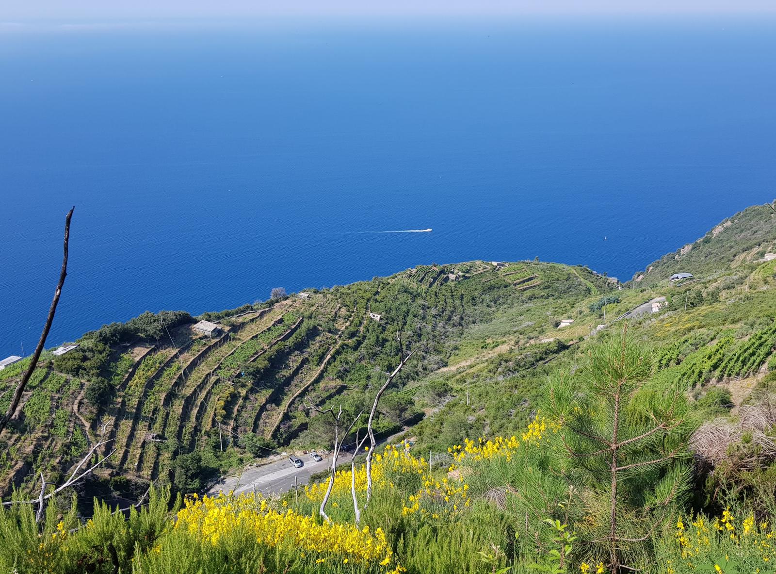 Riomaggiore Cinque Terre