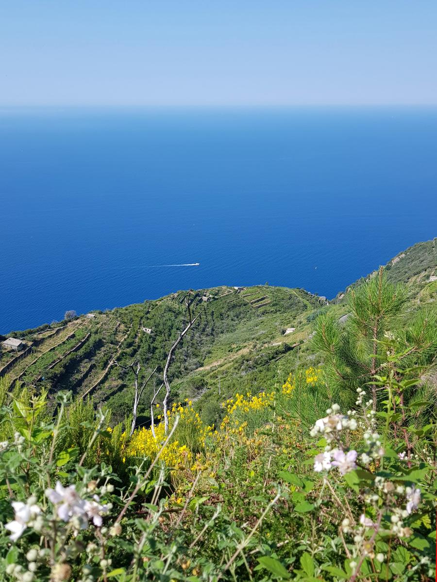 Riomaggiore Cinque Terre