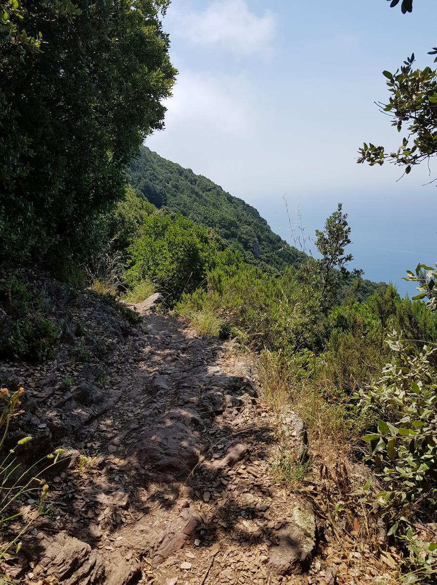 Campiglia to Porto Venere