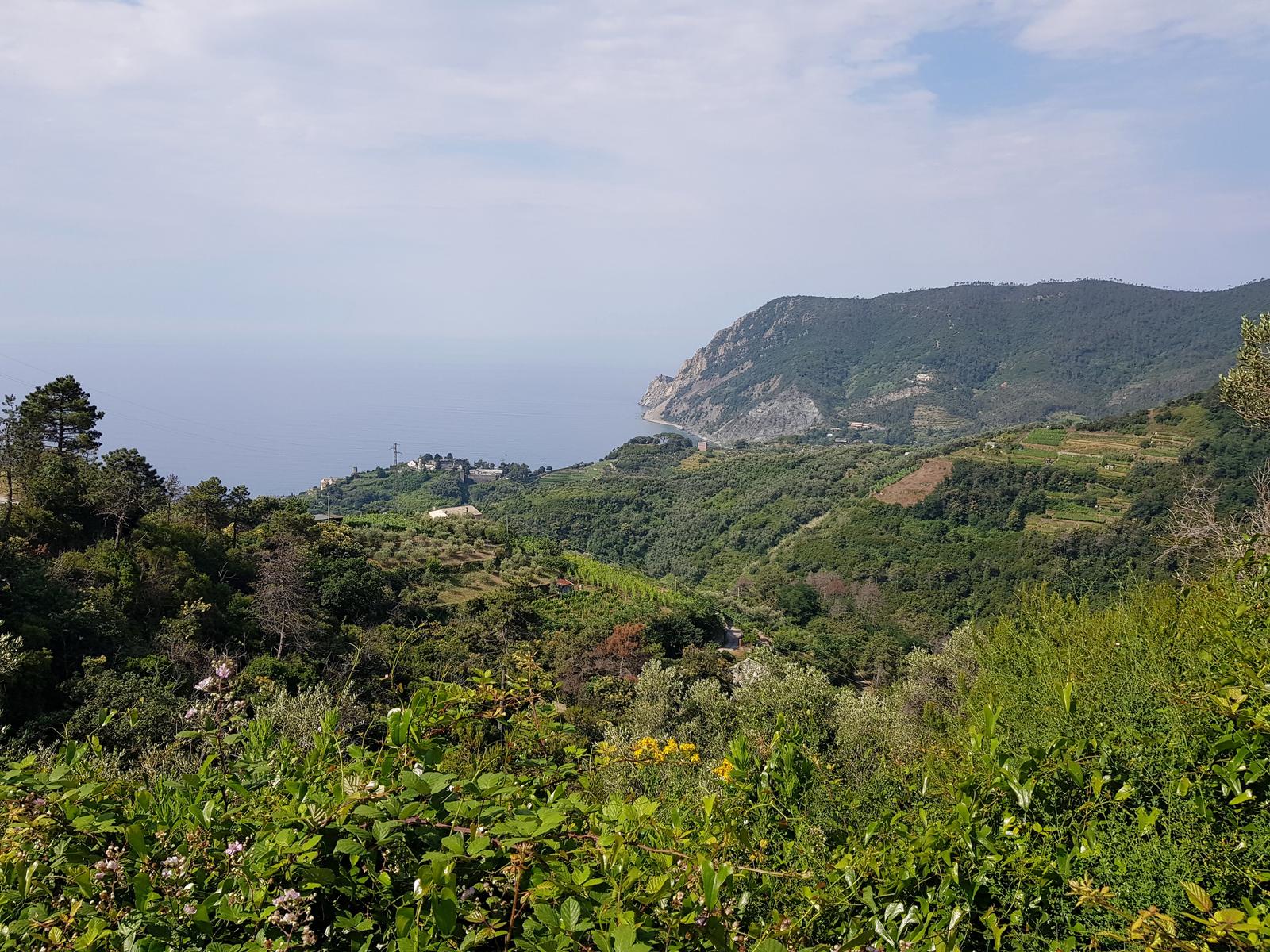 Monterosso Cinque Terre