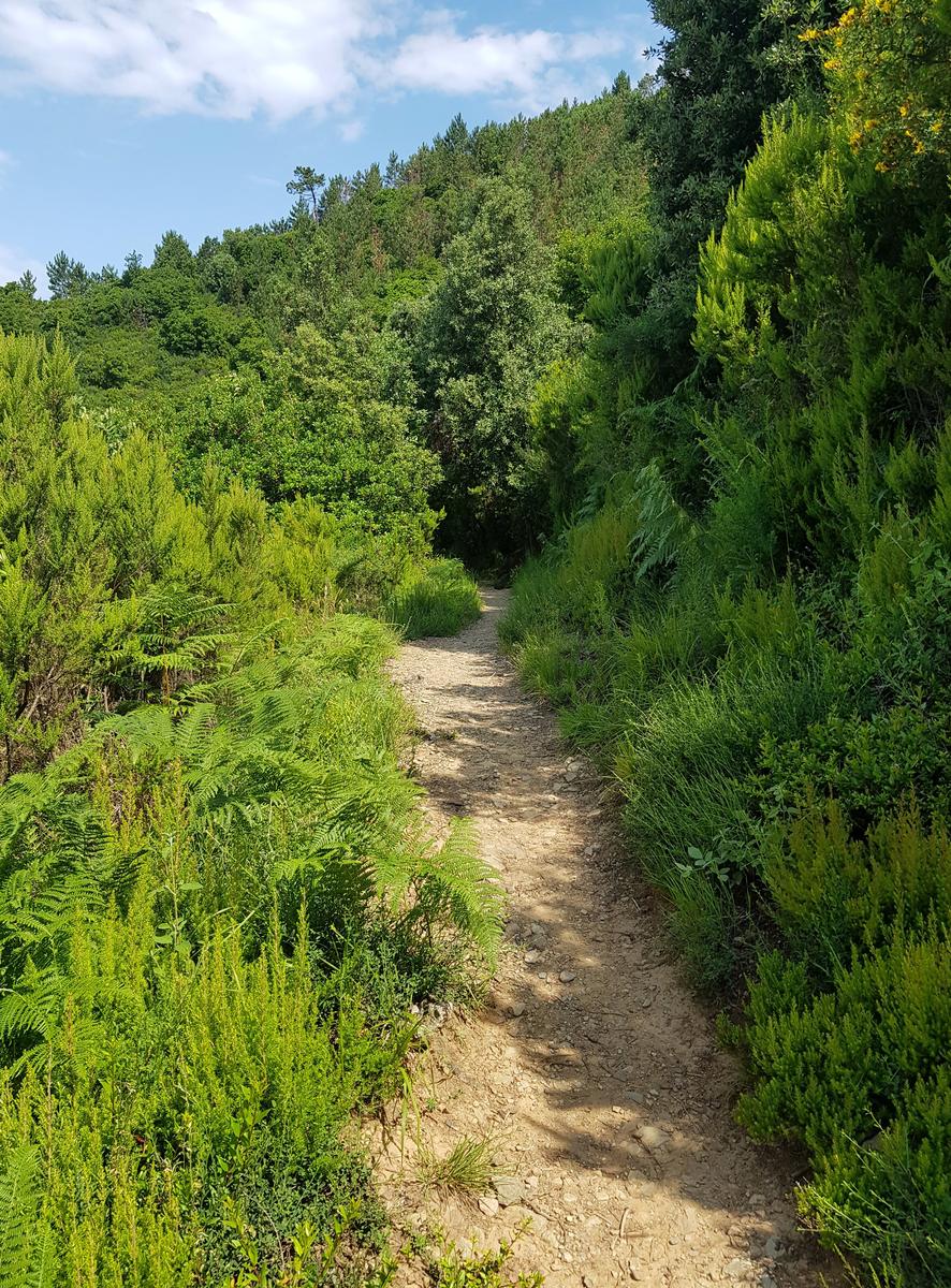 Cinque Terre