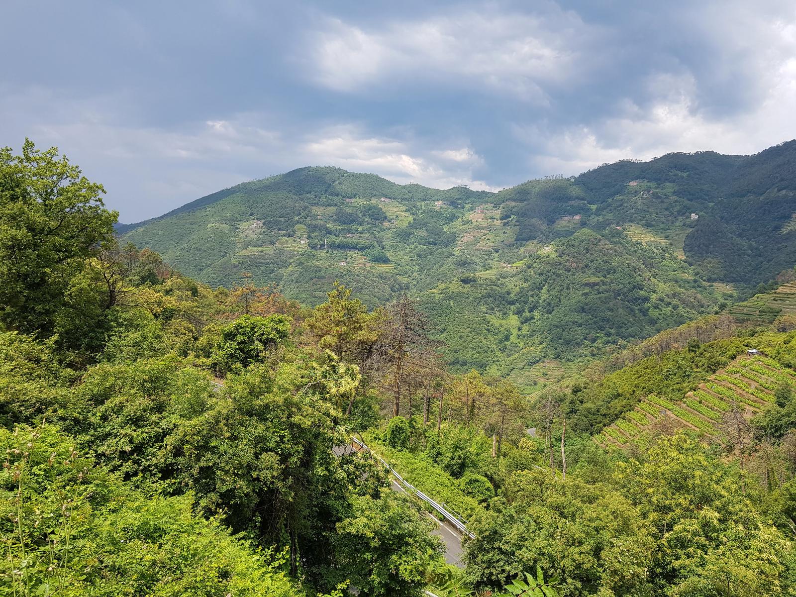 Cinque Terre