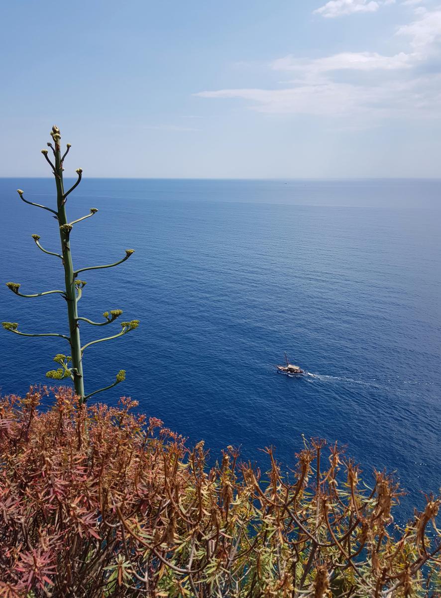 Corniglia