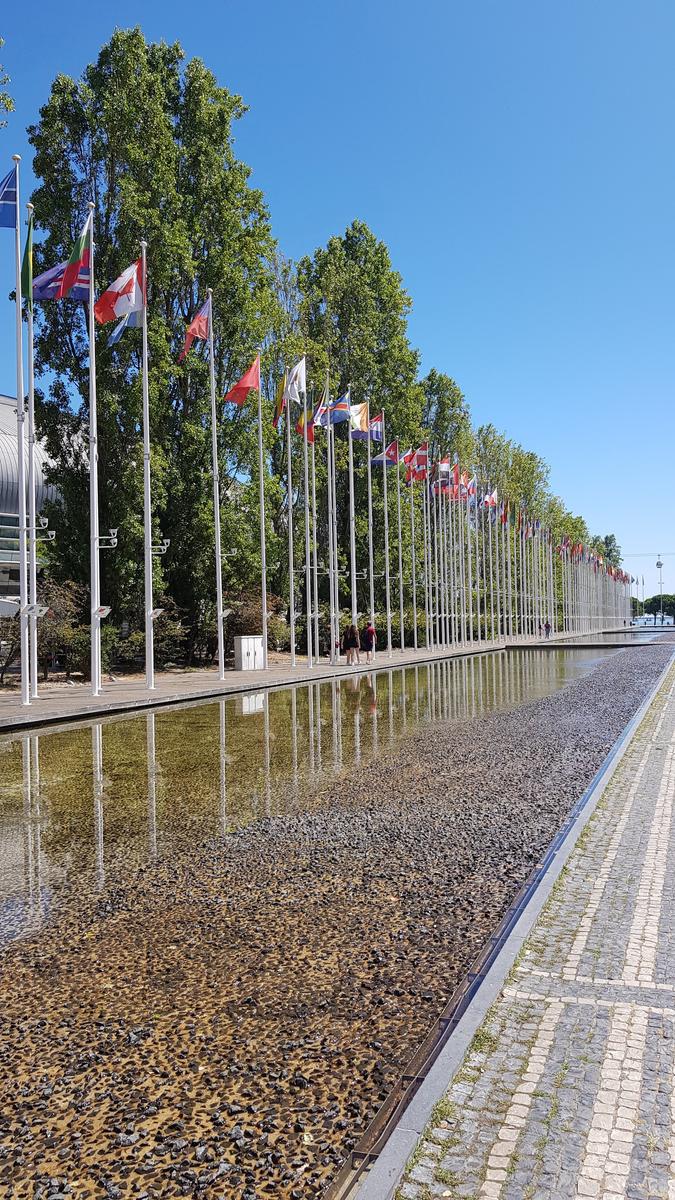 Flags Outide Shopping Centre