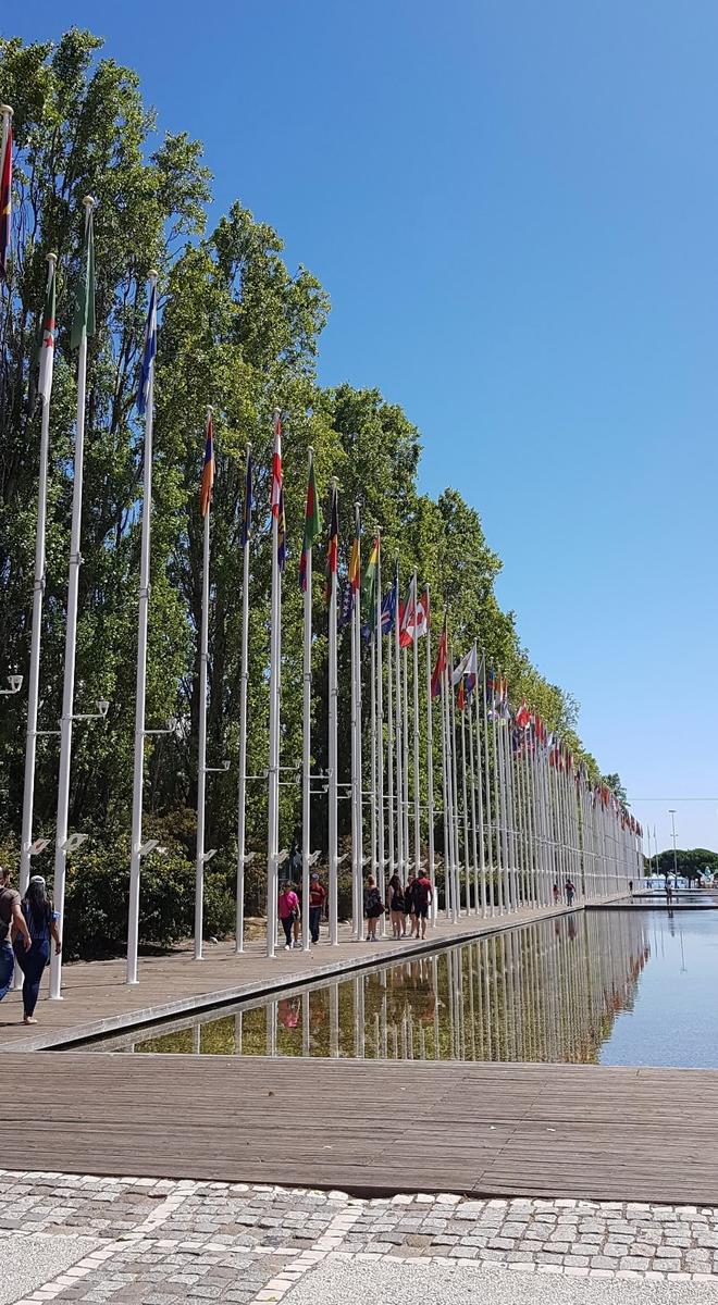 Flags Outside Shopping Centre