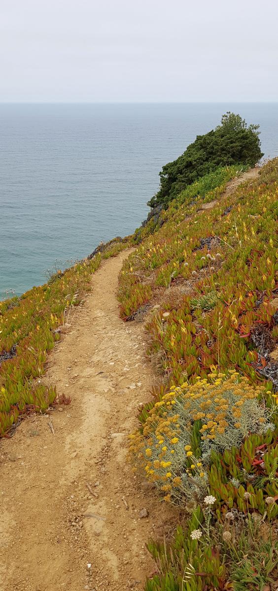 Cabo da Roca