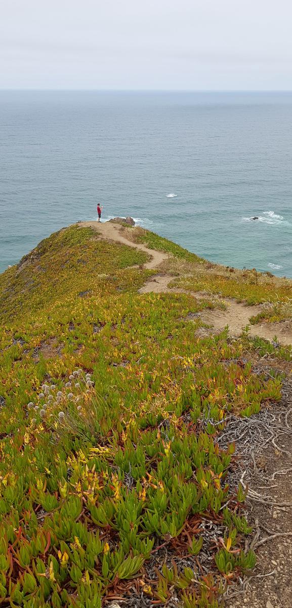 Cabo da Roca