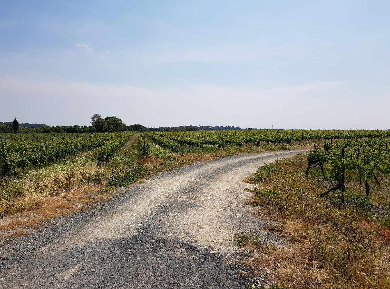 Carcassonne to Beziers