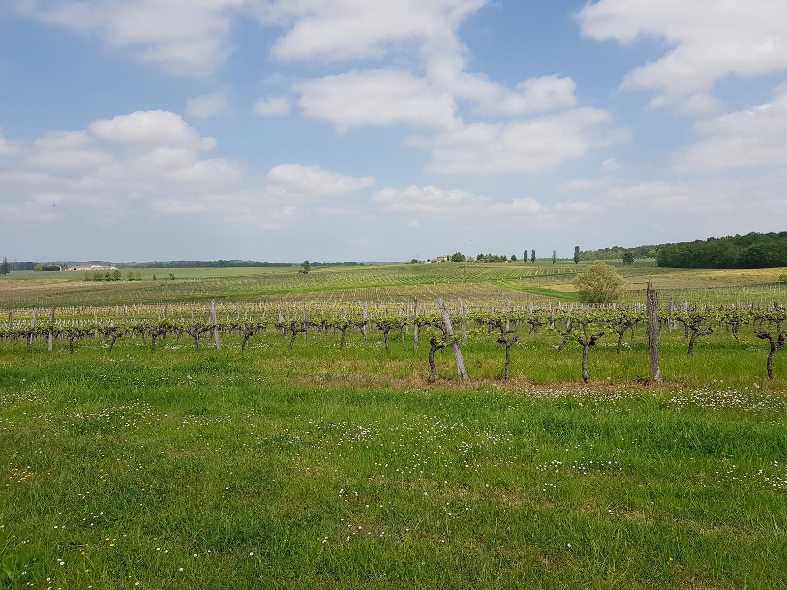 On the way to Meilhan sur Garonne