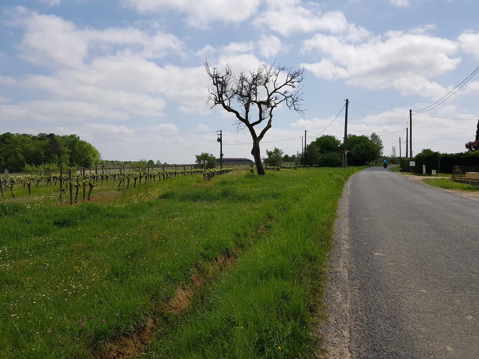 On the way to Meilhan sur Garonne