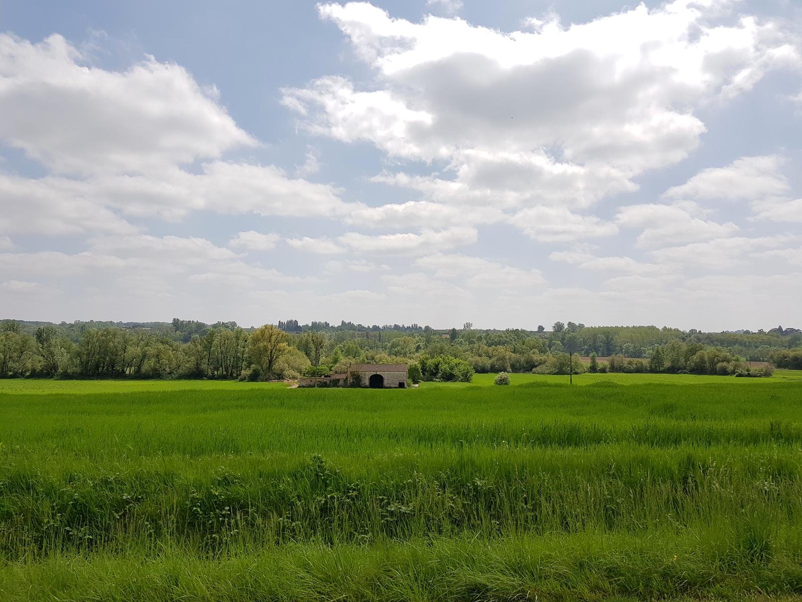 On the way to Meilhan sur Garonne