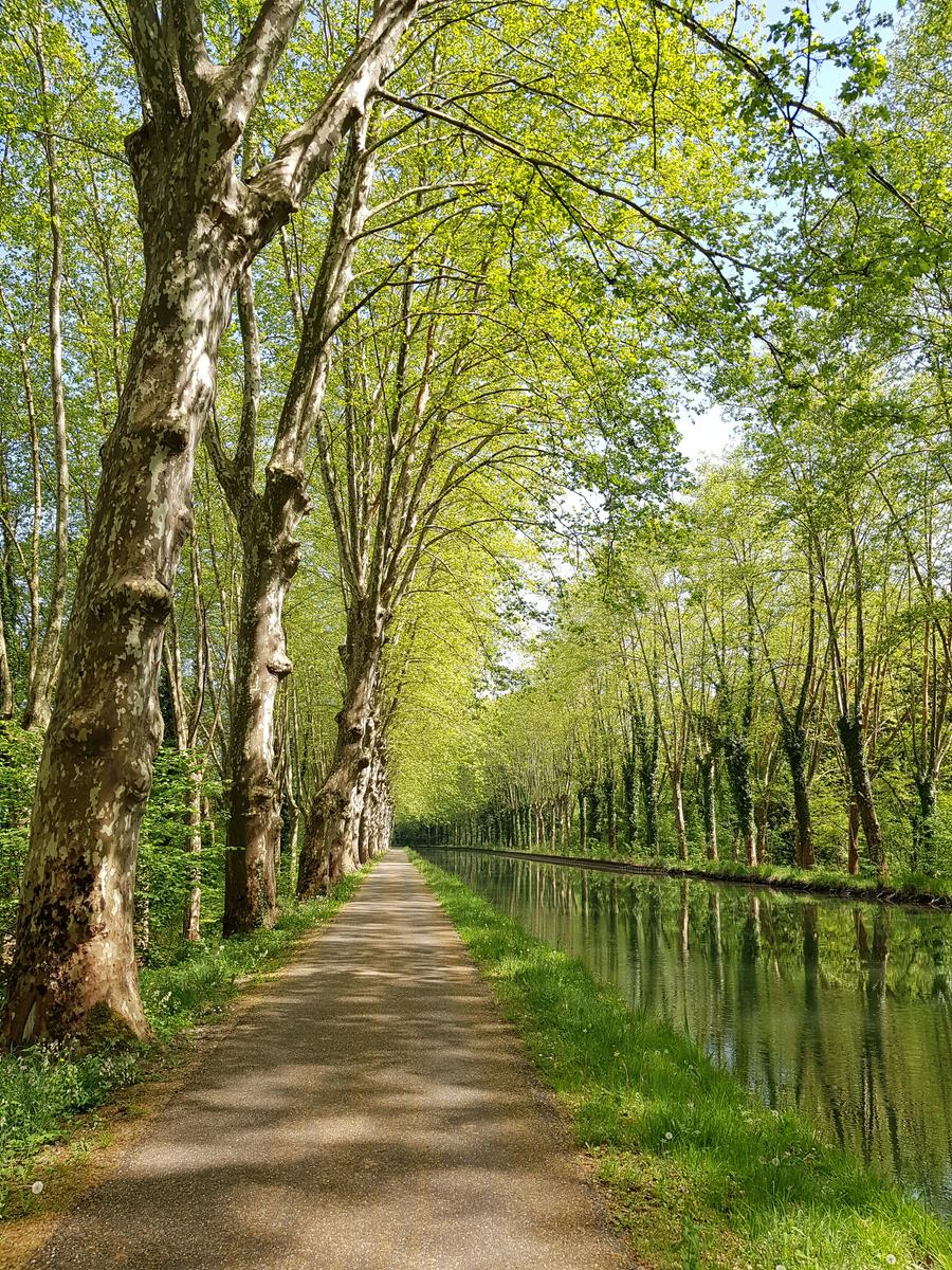 On the way to Meilhan sur Garonne