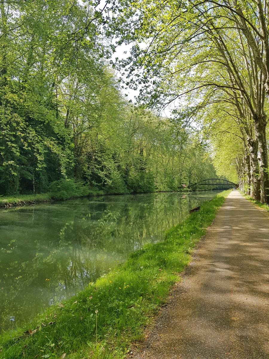 On the way to Meilhan sur Garonne