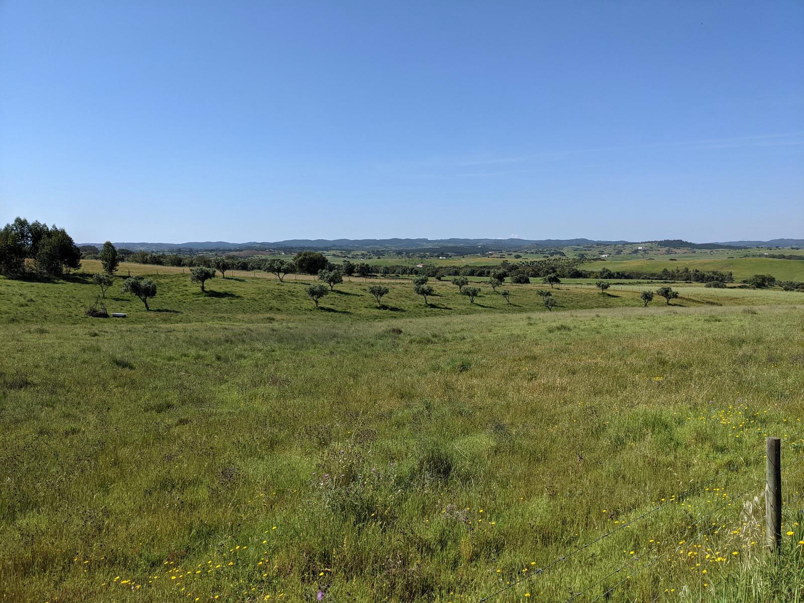 A Relaxing Break in Garvão, Beja - Portugal. – No Road Long Enough