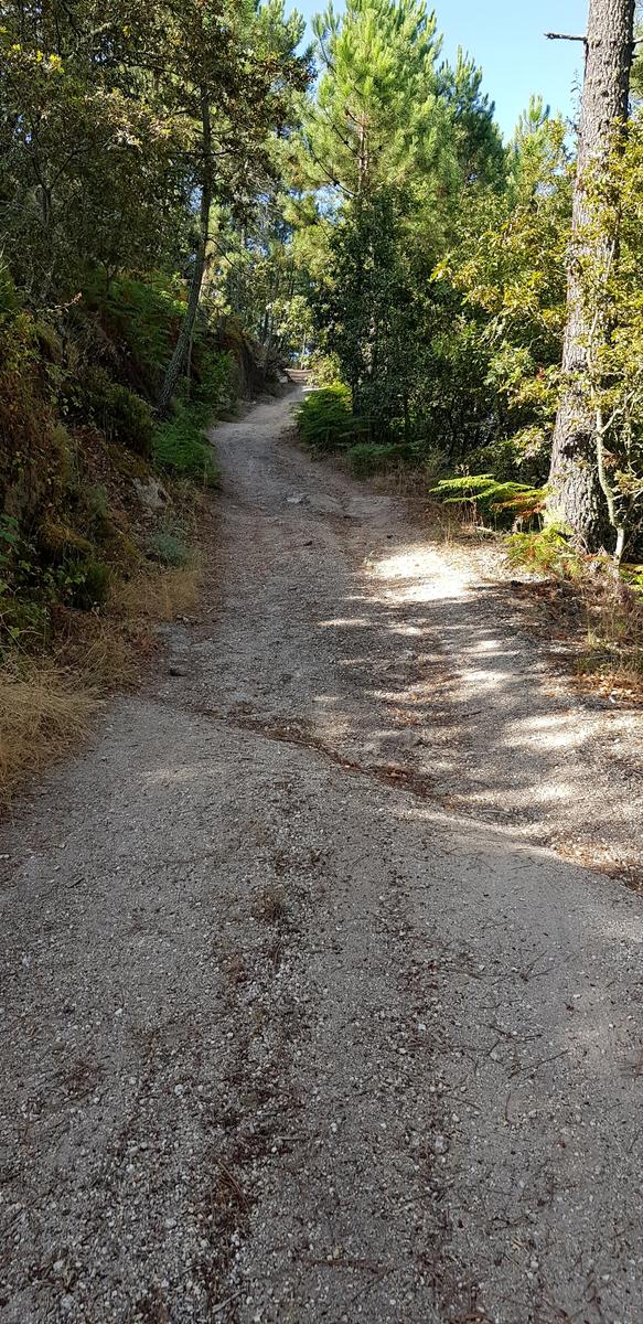 Hike to elderly lady