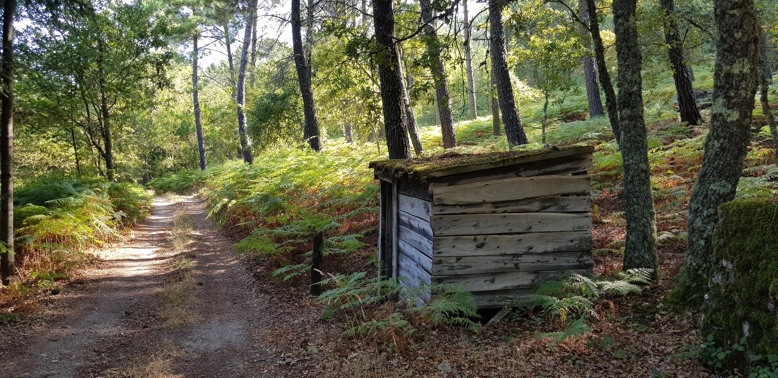 Hike to elderly lady