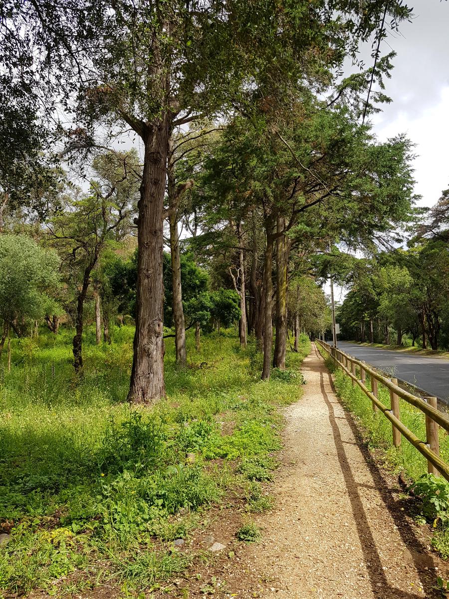 Location of former Monsanto Park Circuit - Lisbon