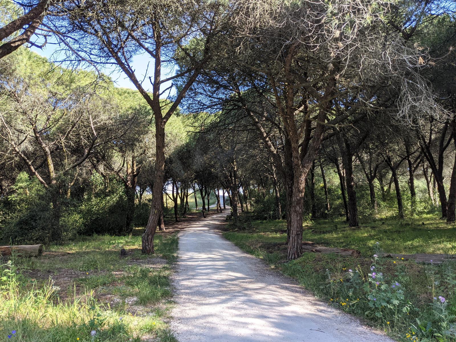 Location of former Monsanto Park Circuit - Lisbon