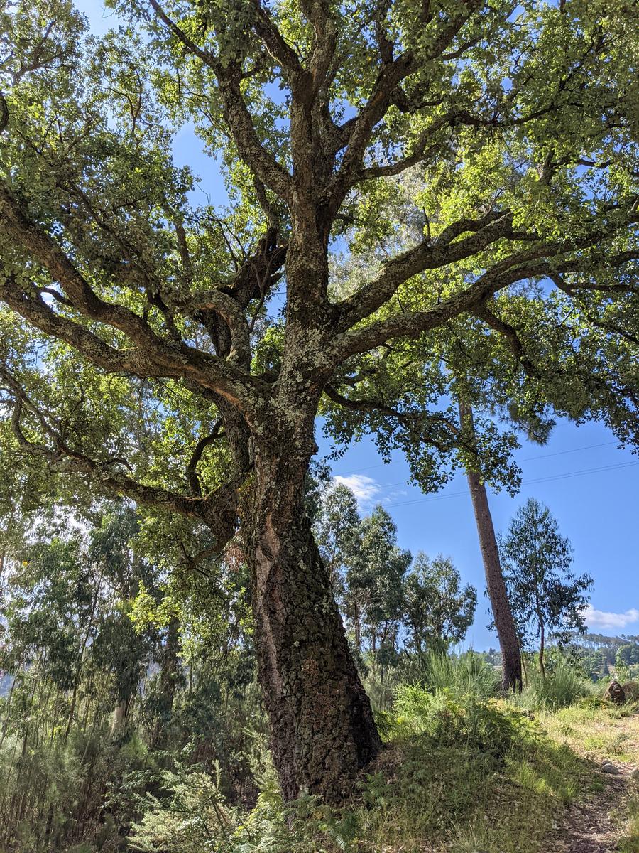 hike to soajo