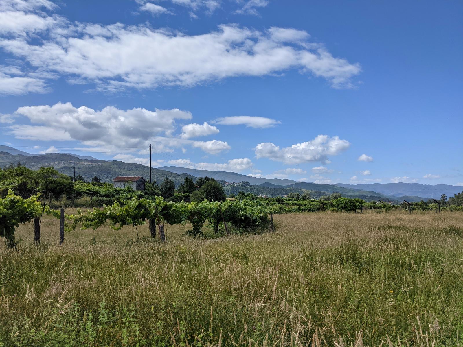 hike to soajo