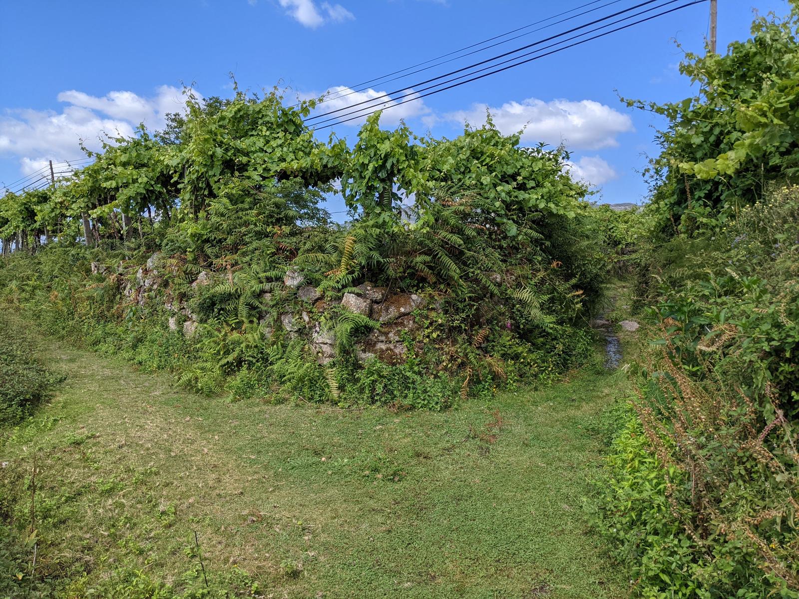 hike to soajo