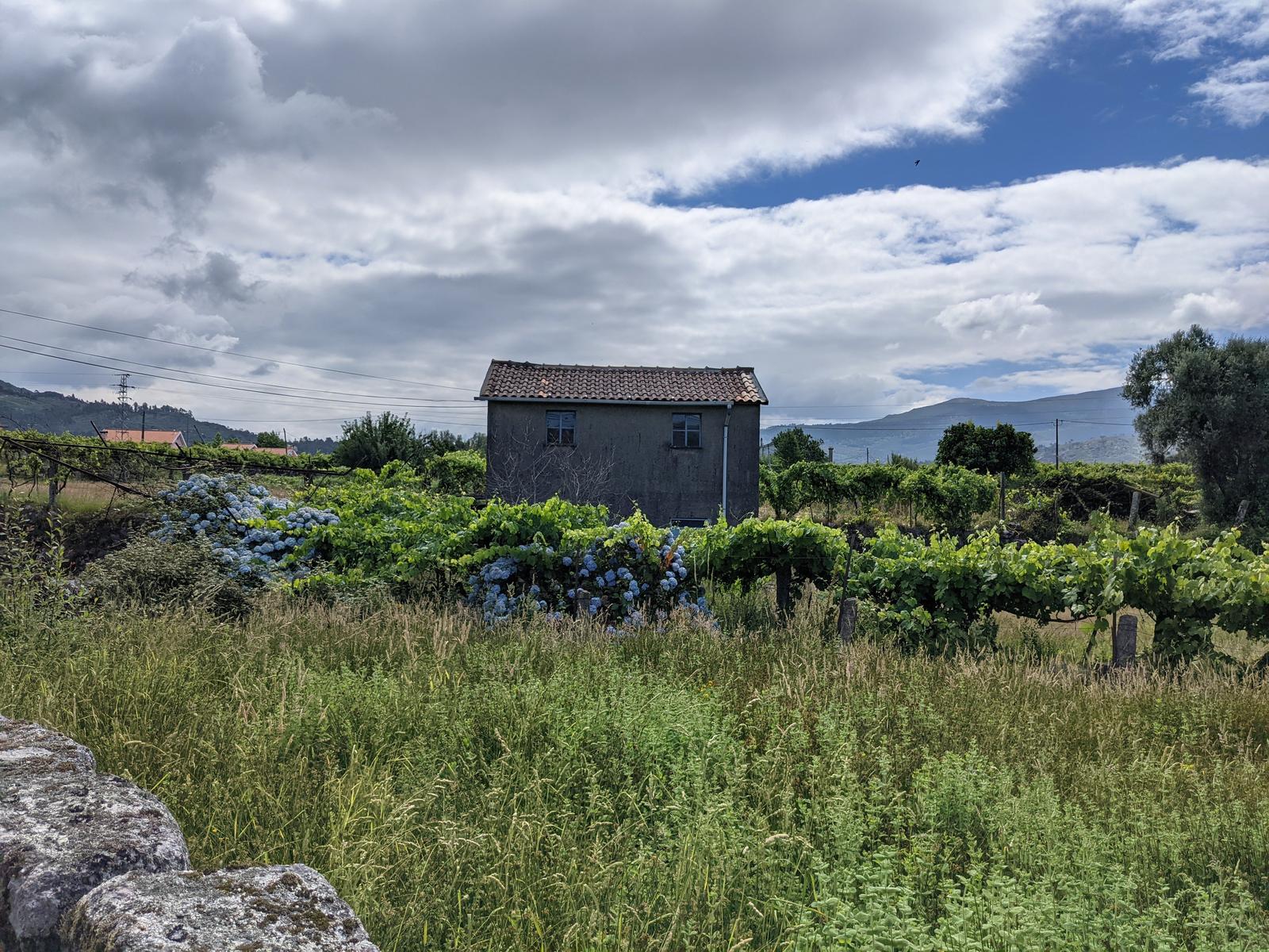 hike to soajo