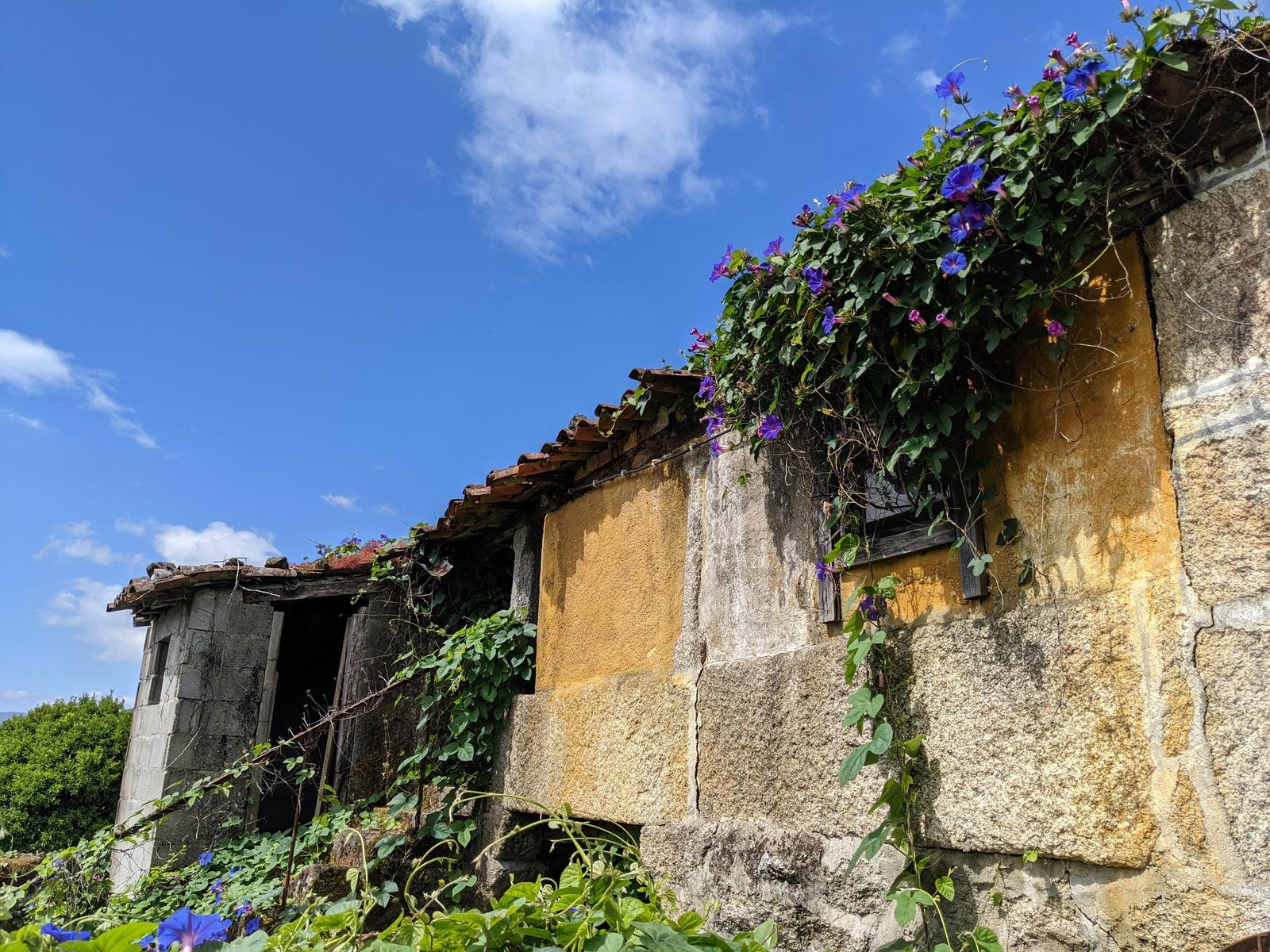 hike to soajo