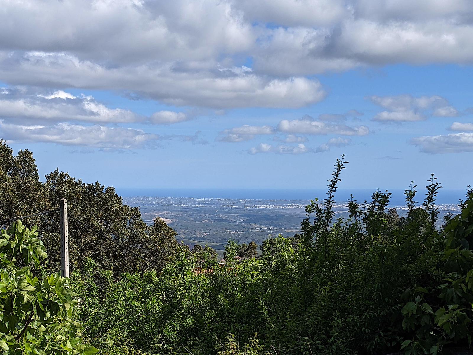 Monchique Garden