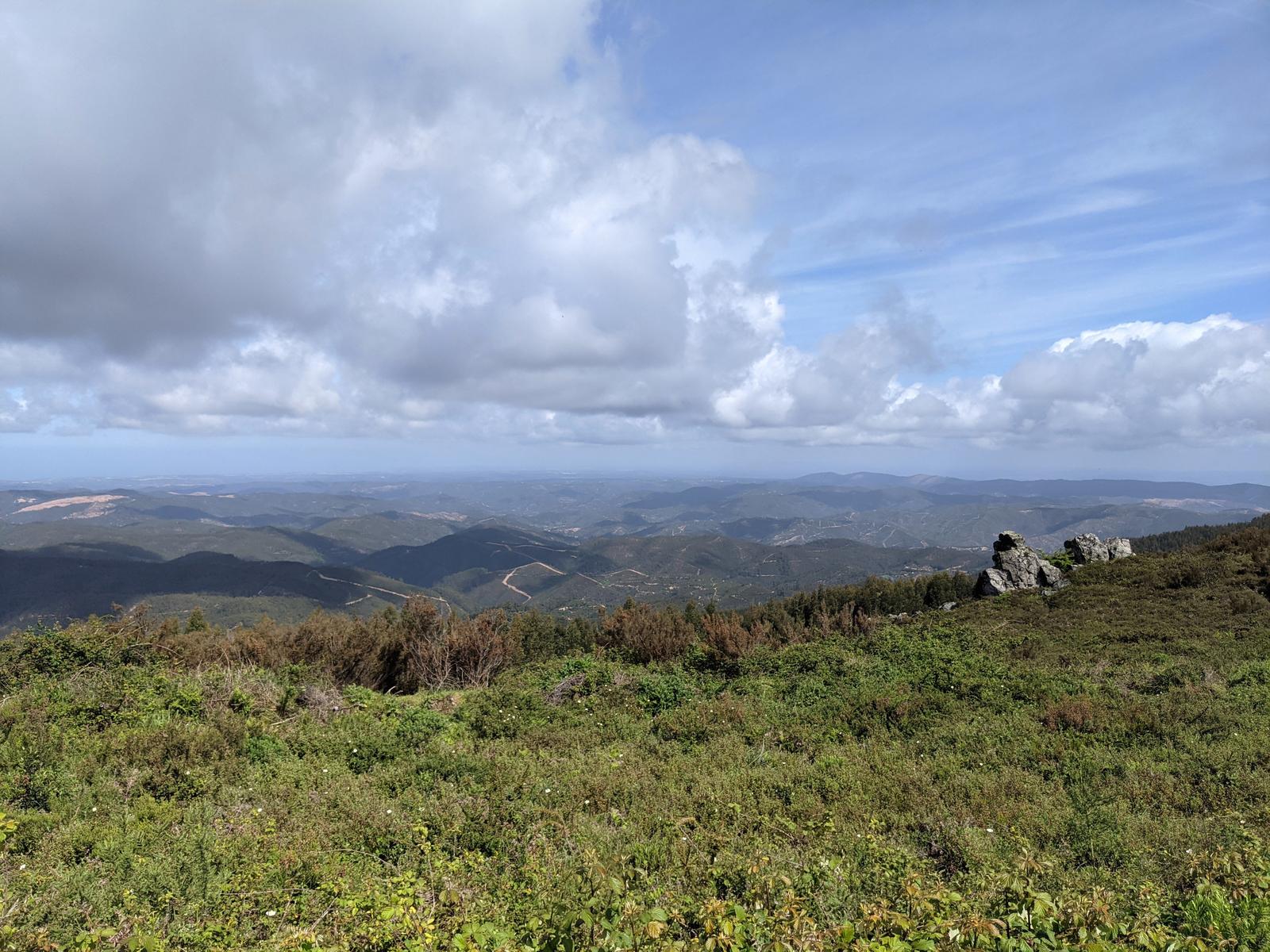 Monchique Green Tower