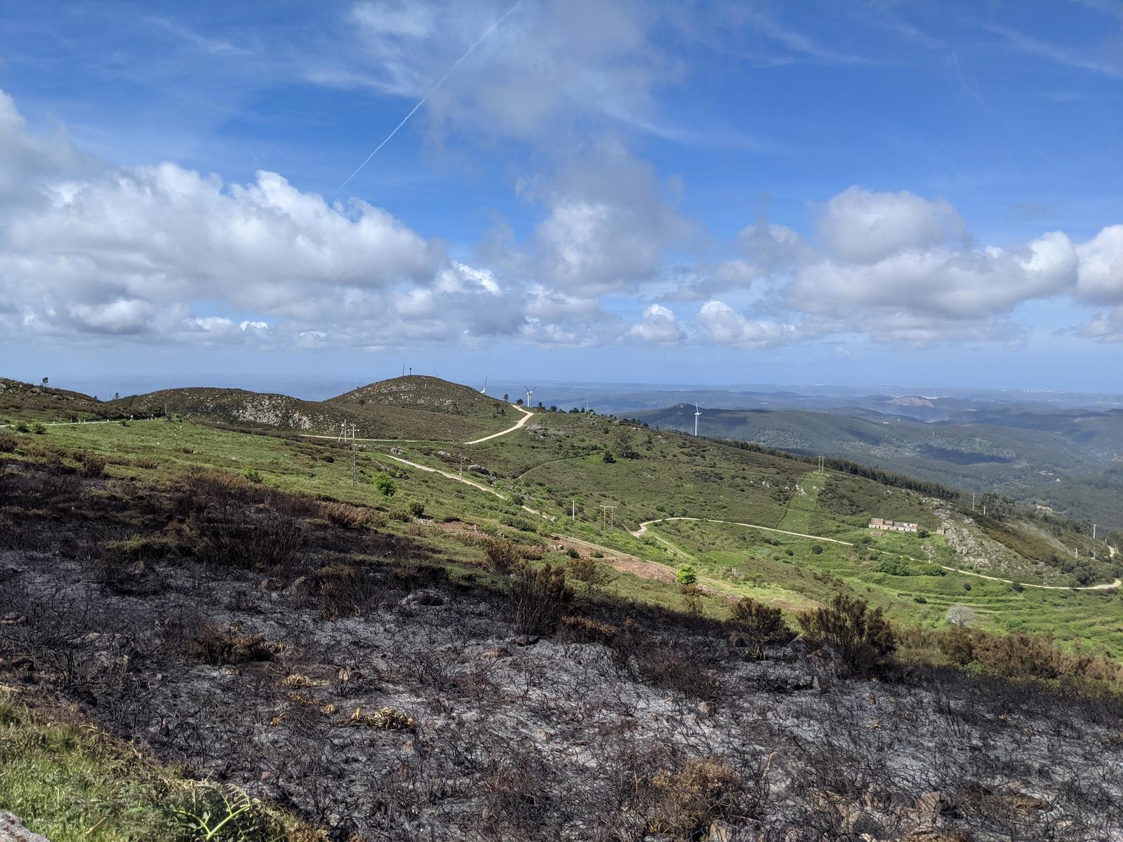 Monchique burnt road