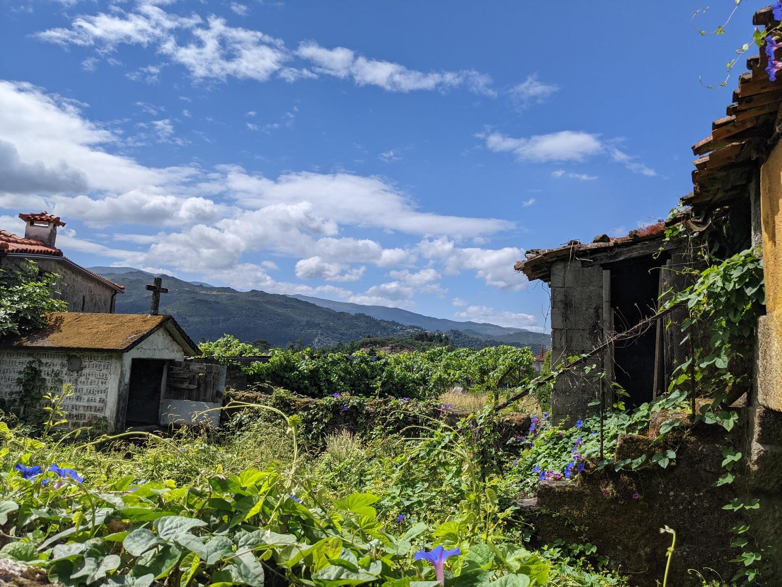 entre ambos soajo