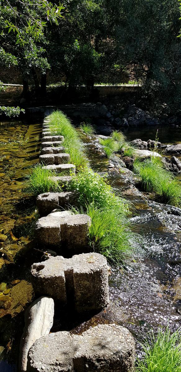 Stepping Stones Sameiro