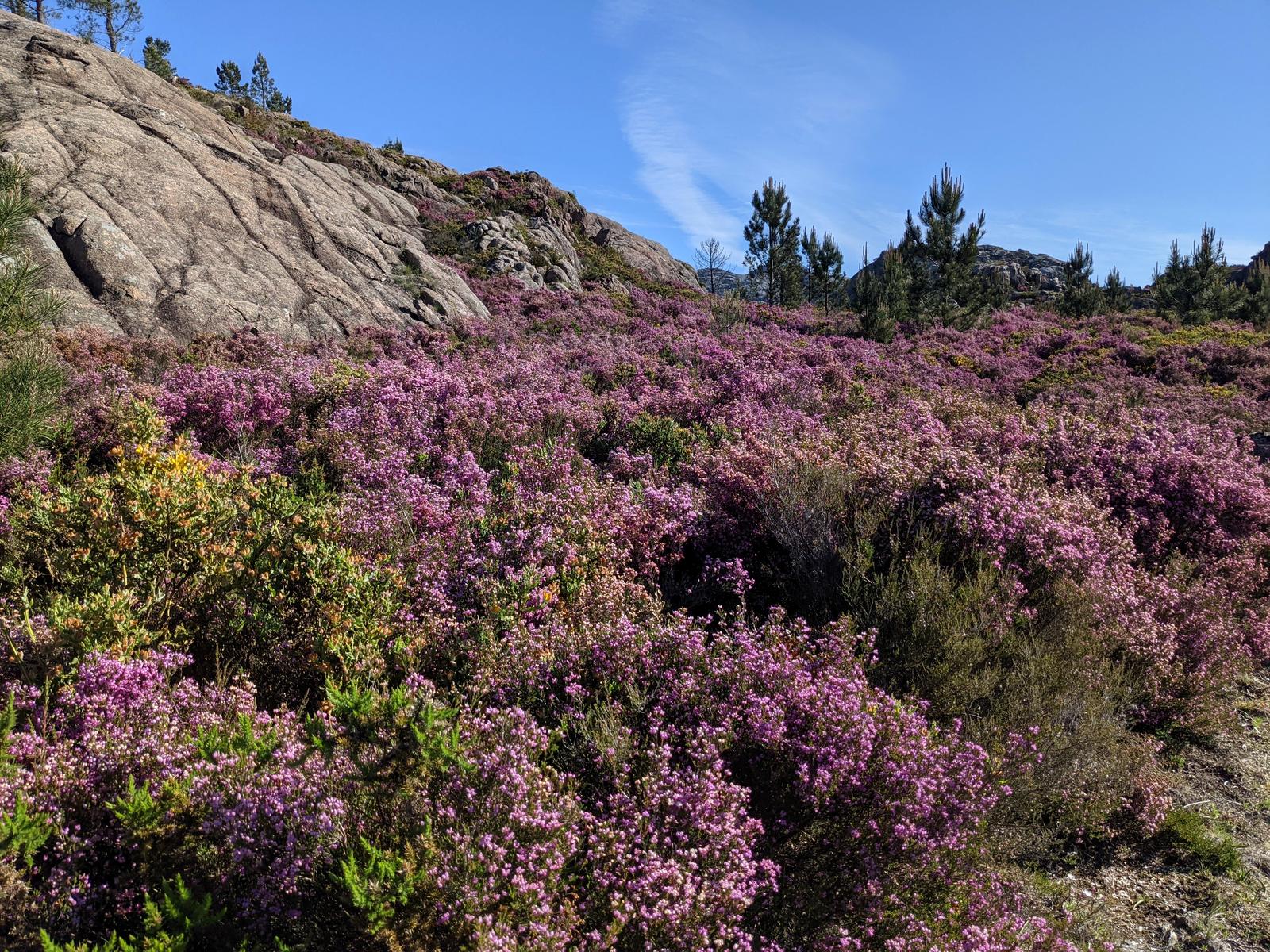 Silhas dos Ursos