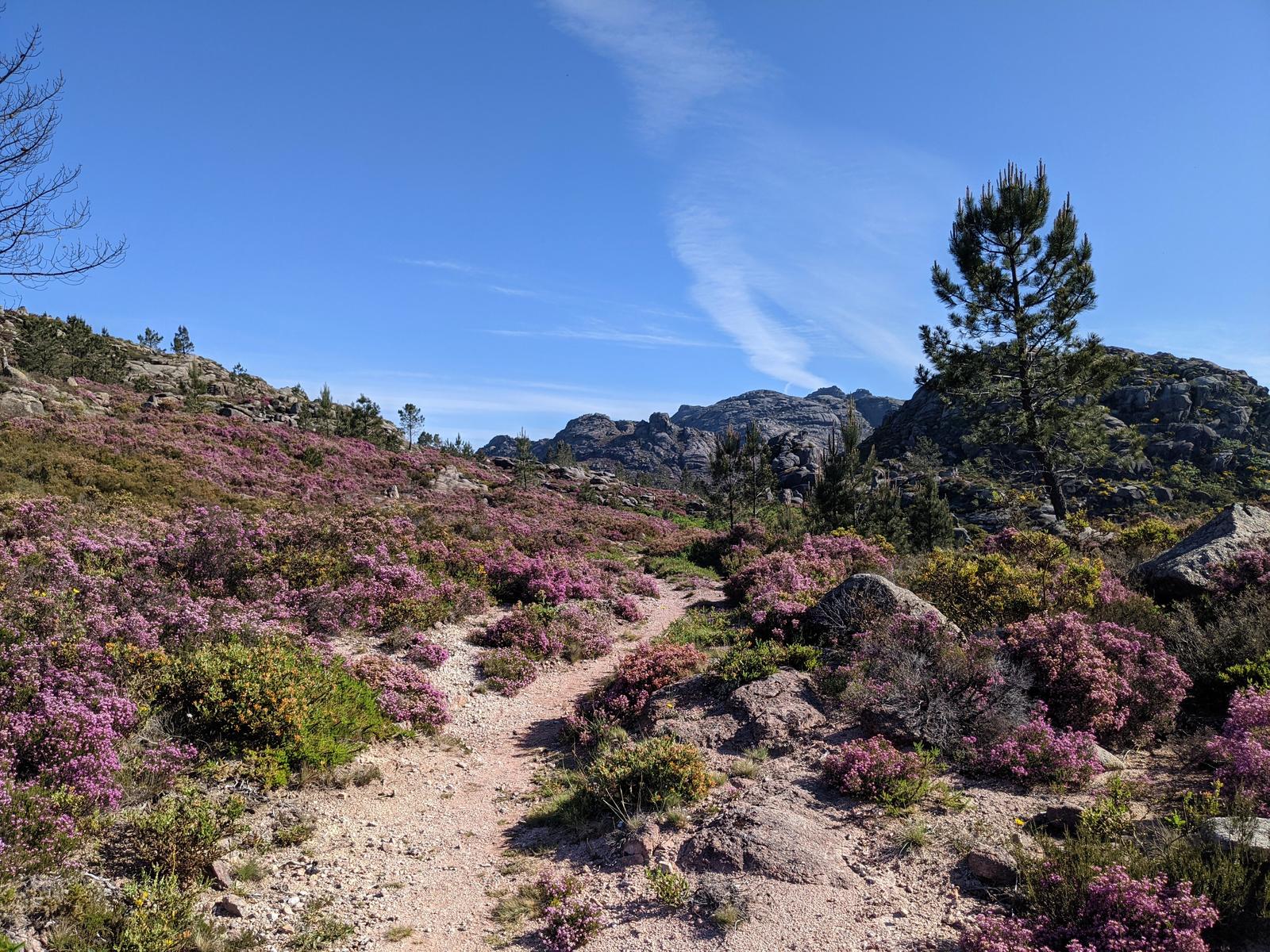 Silhas dos Ursos