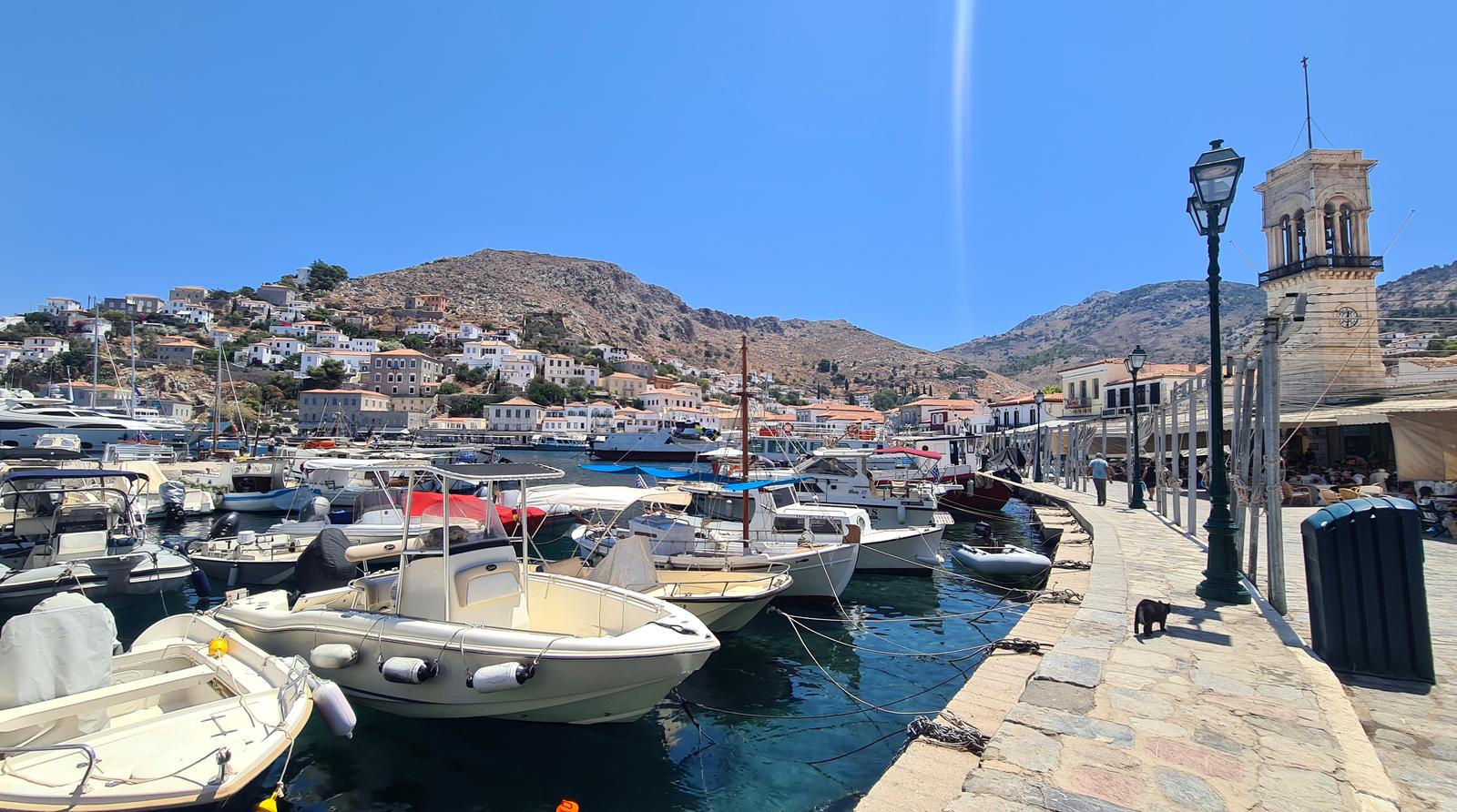 Hydra marina