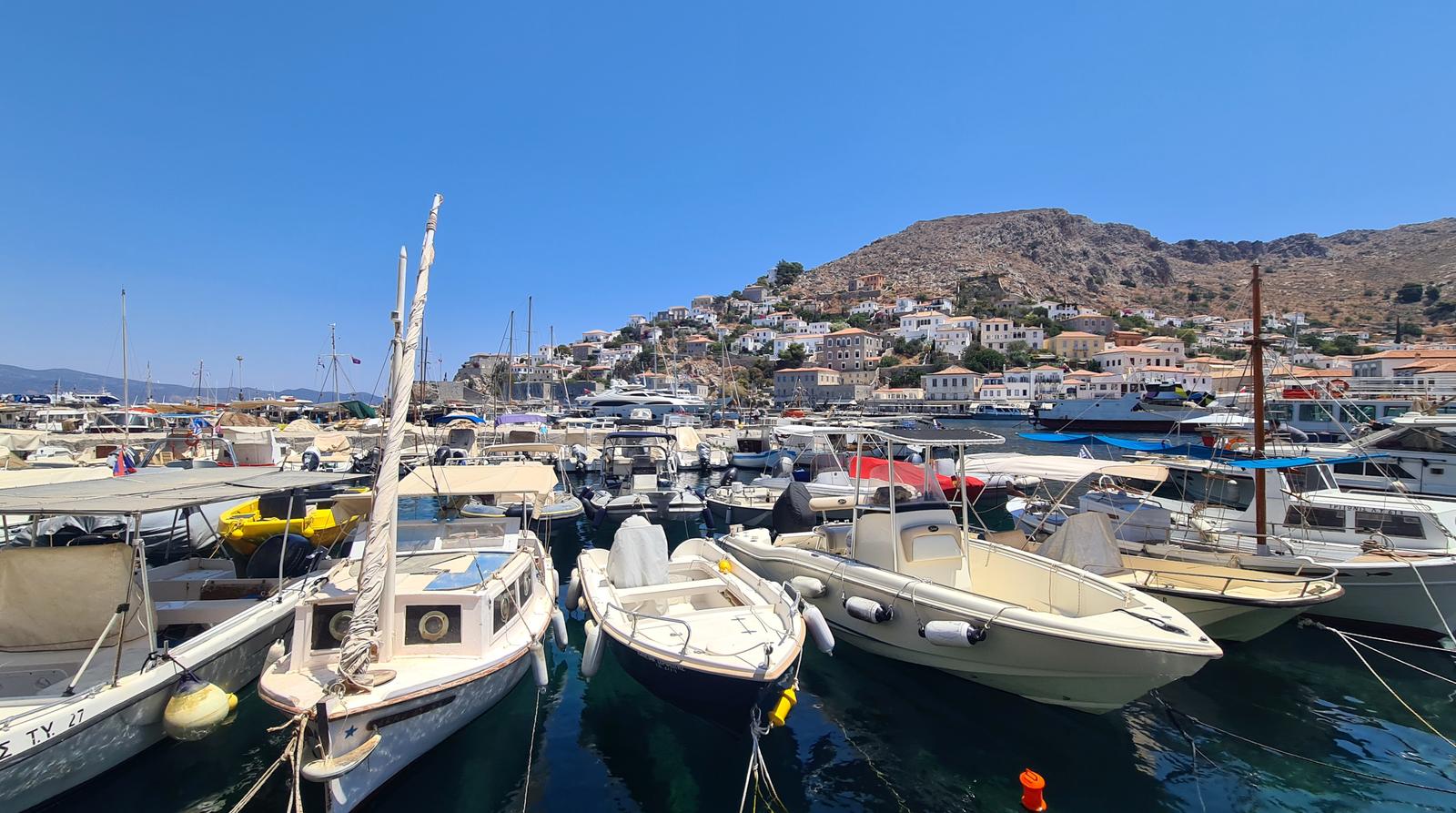 Hydra marina