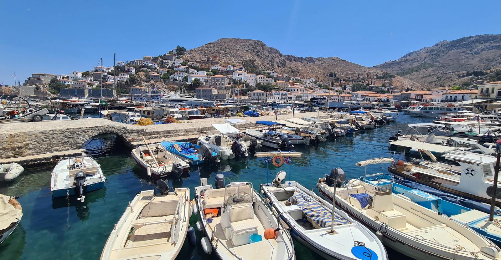 Hydra marina