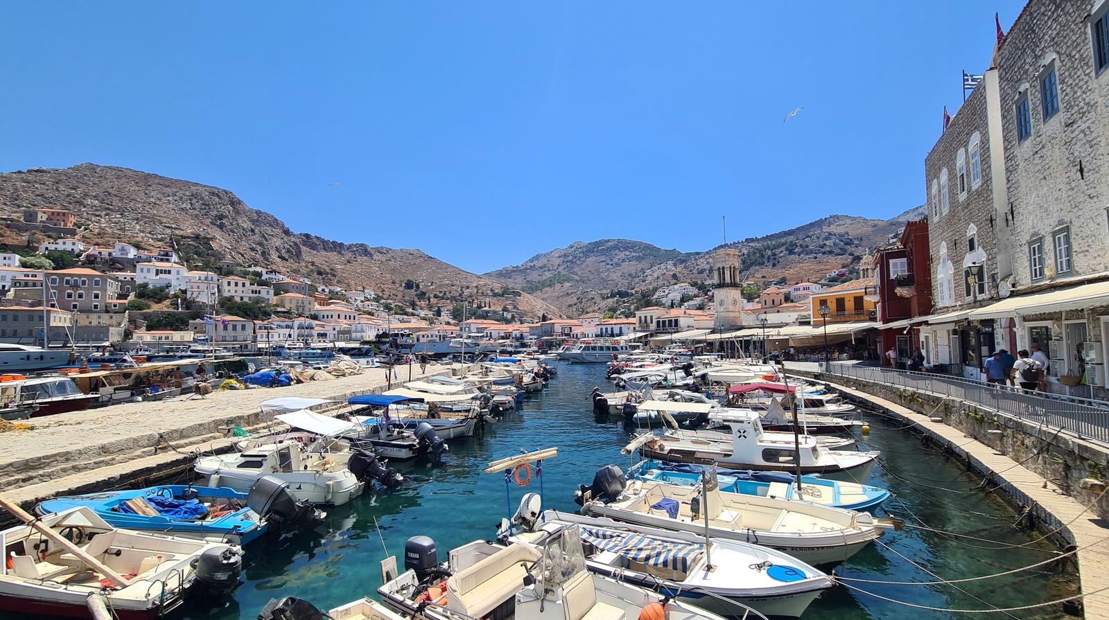 Hydra marina