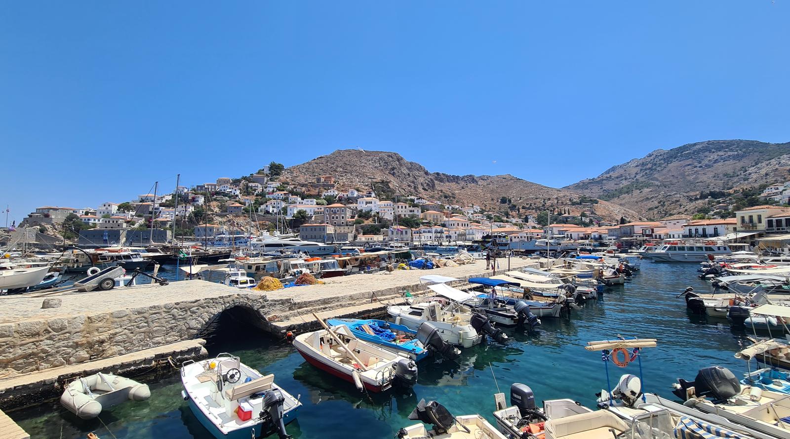 Hydra marina