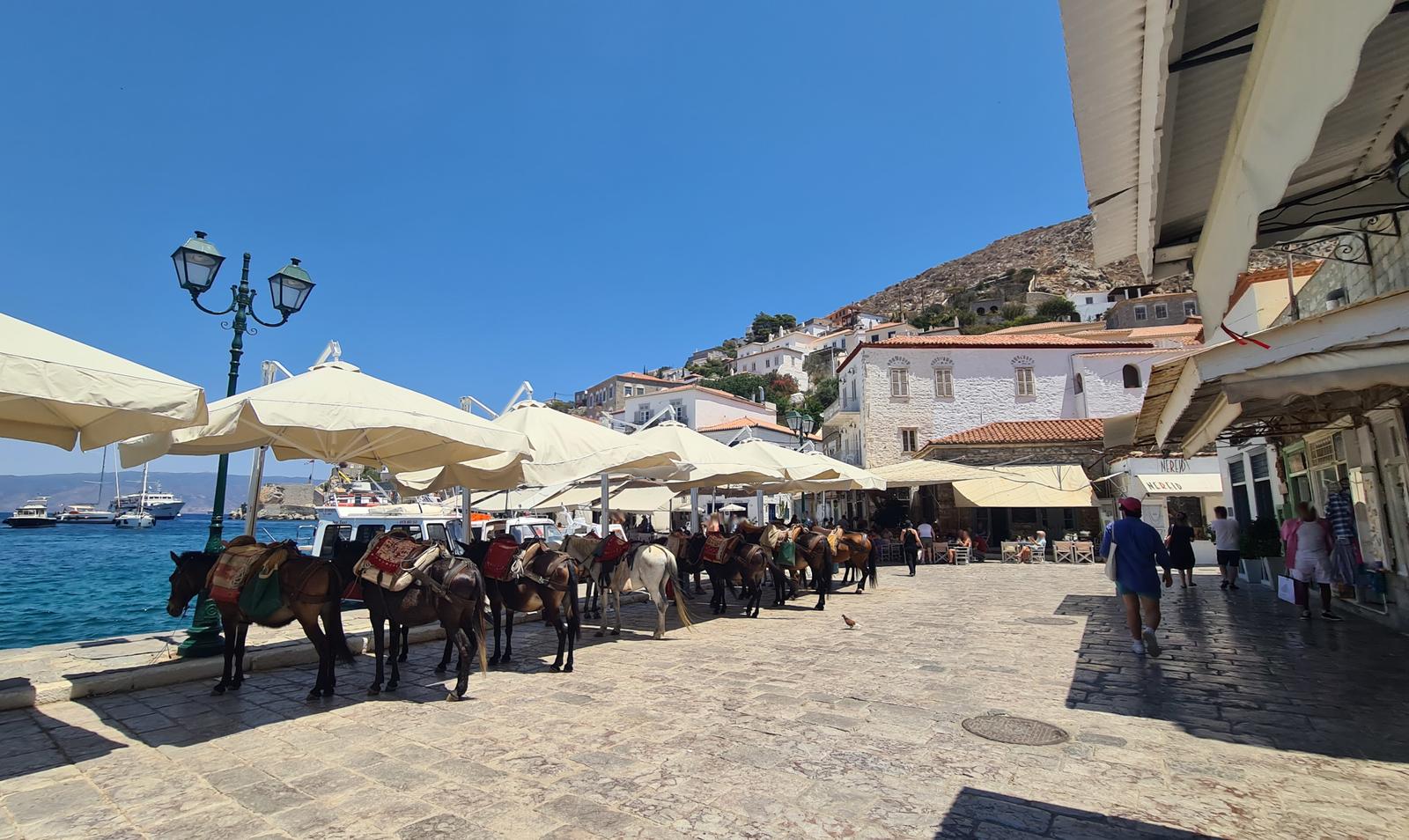 Donkeys Hydra town