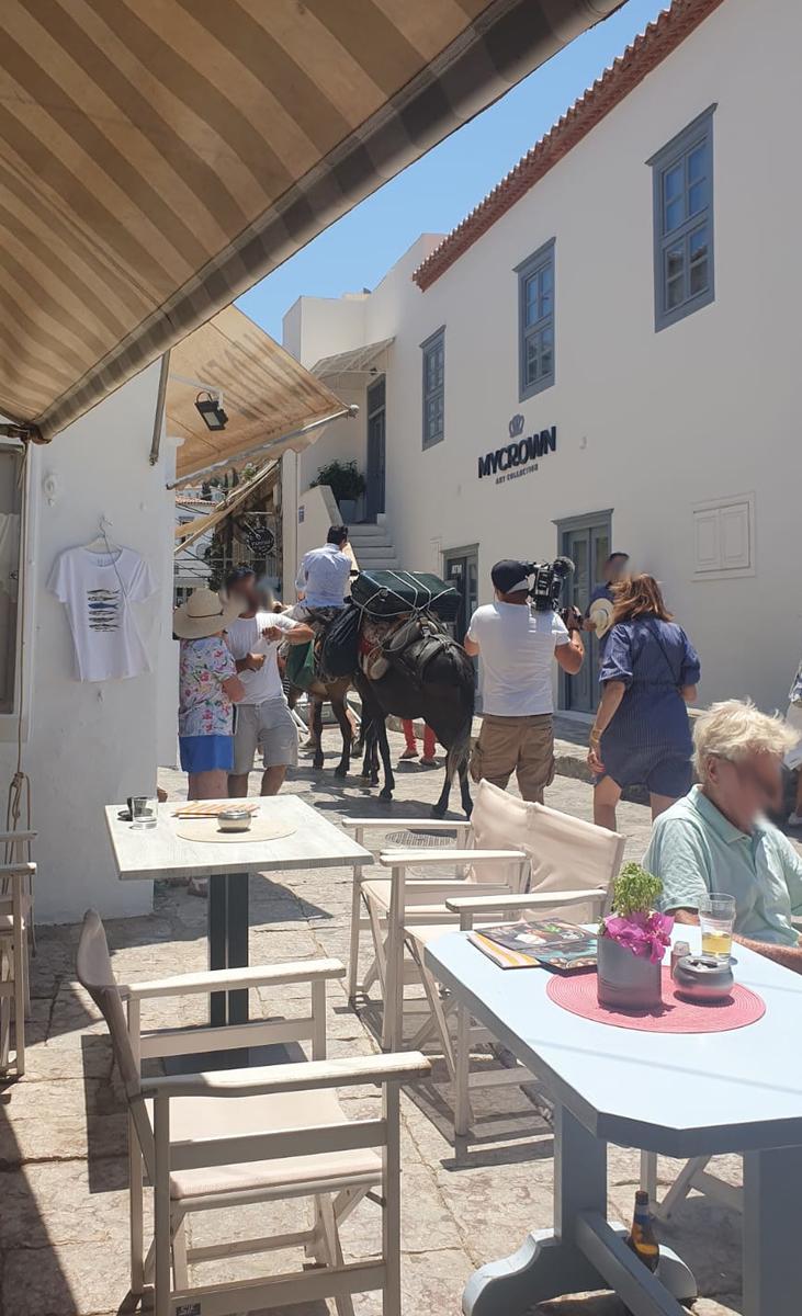 Donkeys Hydra town