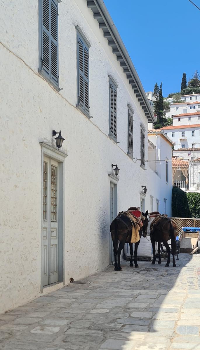 Donkeys Hydra town