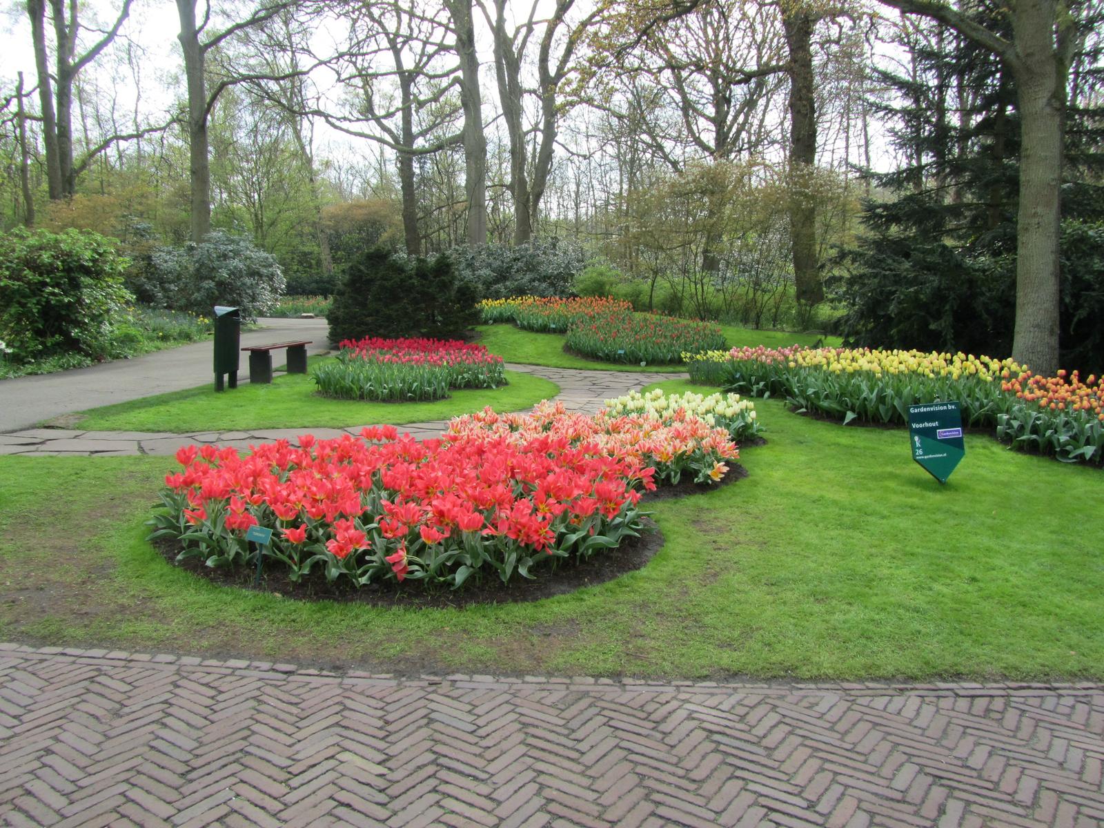 Tulip View Amsterdam