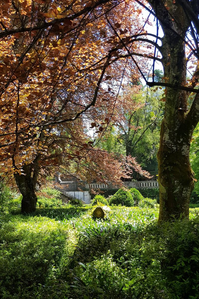 Gardens Coimbra
