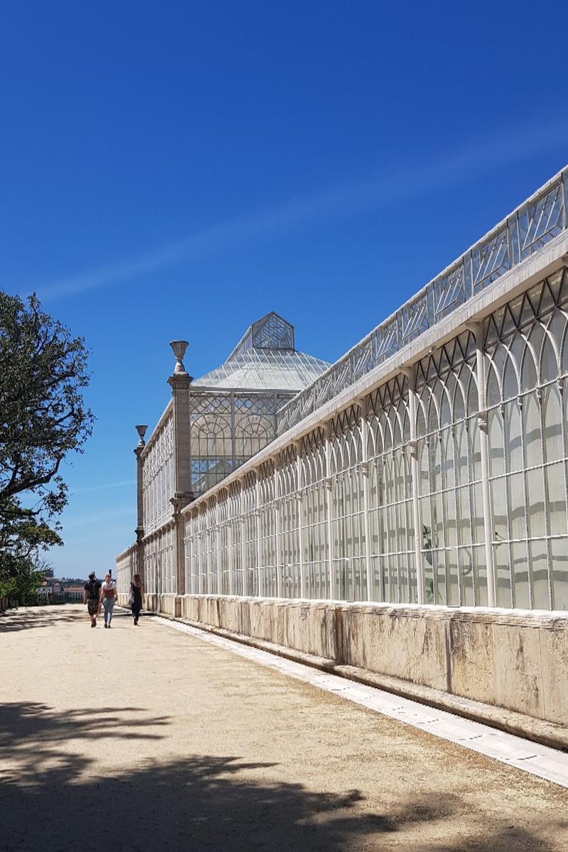 Glasshouse Coimbra