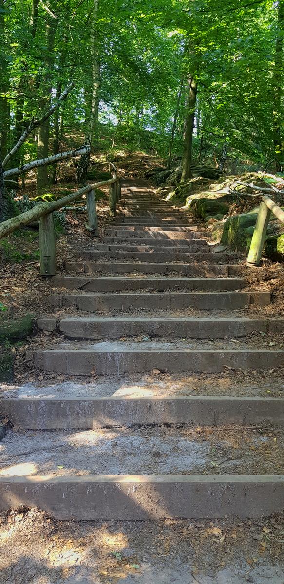 Bastei forest steps