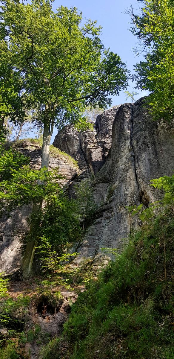 Bastei forest path